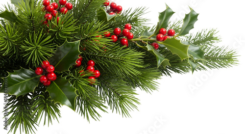 christmas tree branch with red balls