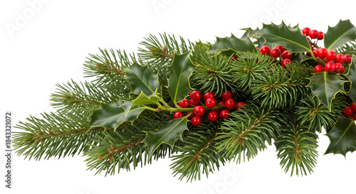 christmas tree branches with red berries