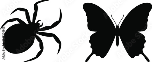 Spider and butterfly silhouettes side by side, contrasting insect and arachnid anatomy, nature comparison, entomology and wildlife illustration