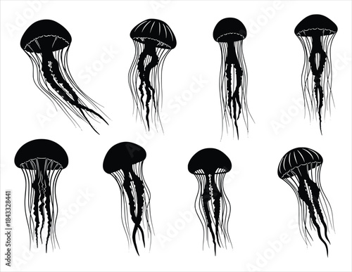 silhouette of a collection of black jellyfish silhouettes