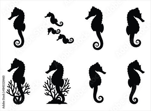 silhouette of a collection of black seahorse silhouettes