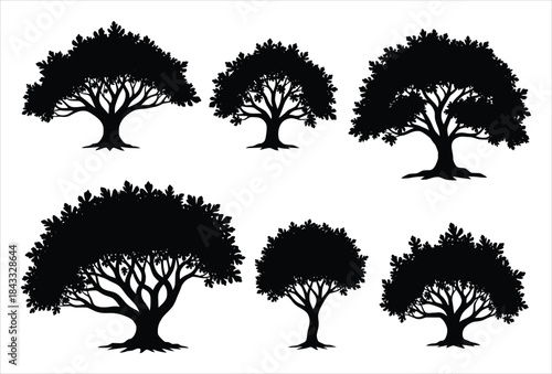 silhouette of a collection of six distinct tree silhouettes