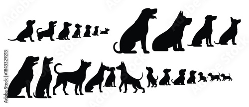 silhouettes of dogs of various breeds and sizes on a white