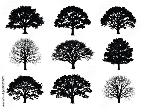 silhouette of a collection of nine diverse tree silhouettes