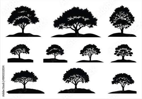 silhouette of collection of nine diverse tree silhouettes