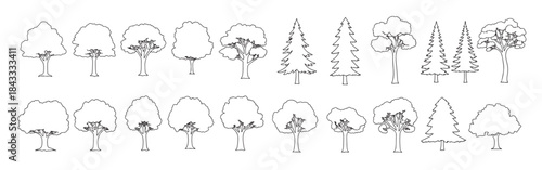 silhouettes of trees palm conifer and deciduous tree 