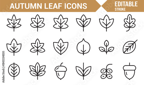 Minimal autumn leaf and forest icon set