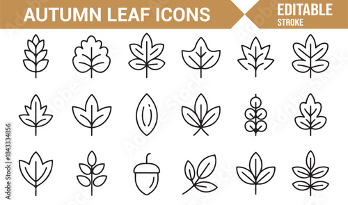 Autumn season leaves outline symbols for infographic use