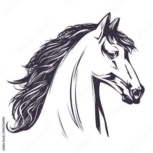 horse, horse head logo, hand drawn vector illustration realistic sketch