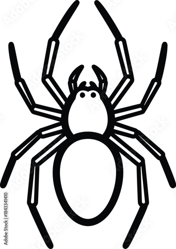 Black Spider Insect Silhouette Illustration