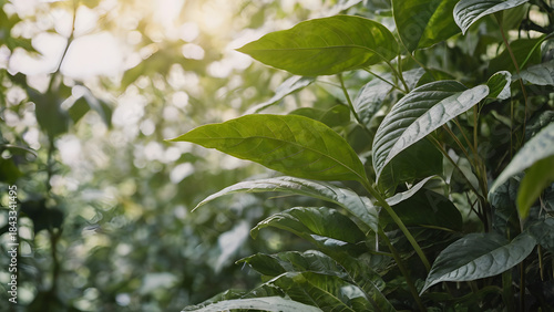 Soft botanical background with leaves and natural shapes, fresh and relaxing atmosphere, no people.