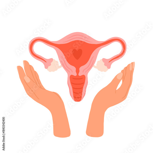 Healthy Uterus Care Concept with Hands Supporting Female Reproductive System. Womens Health, Gynecology, Reproductive Anatomy Protection Vector Illustration
