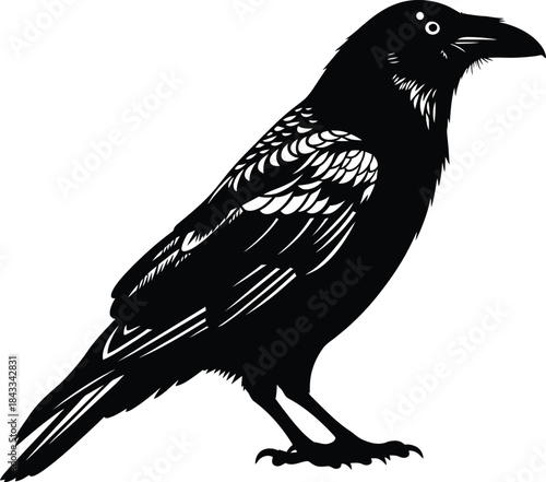 Crow Bird Black Silhouette Illustration