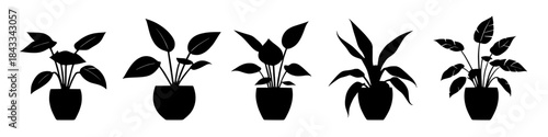Silhouette of Potted Plants: A series of potted plants are displayed in a minimal art style, perfect for adding a touch of greenery to design projects. 