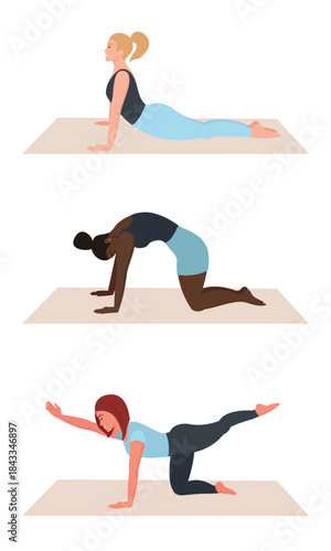 Женщины, занимающиеся пилатесом на коврике. Спорт и тренировки.