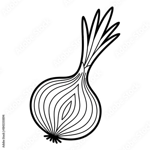 onion isolated on white coloring page line art