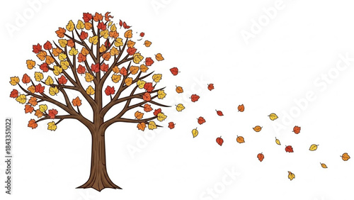 Tree Losing Leaves in Autumn Storm Isolated on White