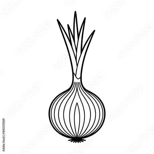 onion isolated on white coloring page line art 