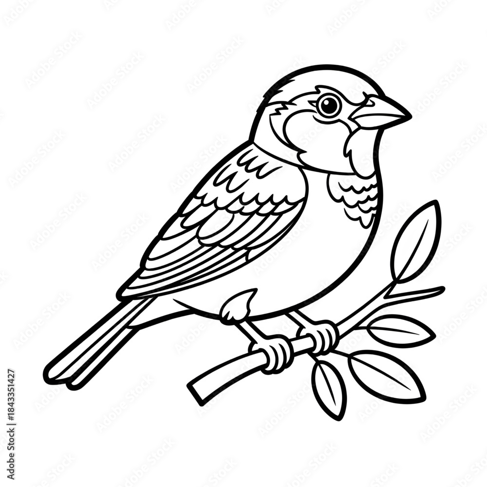 Obraz premium Swallow Bird coloring page line art