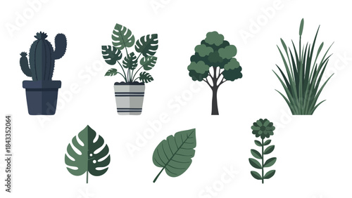 Green Plants Vector Collection Flat Design Illustration Set Nature Tropical Houseplant Icons Including Cactus Monstera Tree Leaves Grass for Web Print