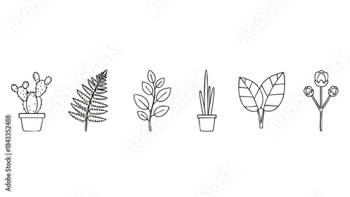 Minimalist Botanical Line Art Icons Set Houseplants Leaves and Nature Elements