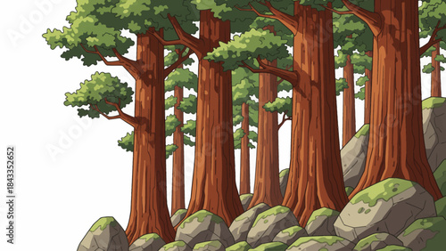 redwood forest filled with massive ancient trees, vertical scale, deep shadows, and a majestic natural environment emphasizing age and natural strength, white isolated sky