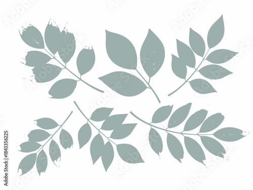sage green leaves on white background clip art preview