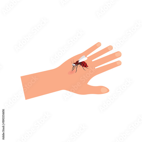 Mosquito Bite