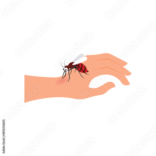 Mosquito Bite