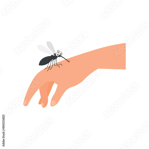 Mosquito Bite