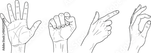 Hand gesture illustrations set, open palm fist pointing finger okay sign, human hands poses, communication symbols, line art vector collection