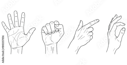 Hand gesture illustrations set, open palm fist pointing finger okay sign, human hands poses, communication symbols, line art vector collection