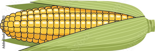 Illustration of a ripe yellow corn cob partially peeled with green husks visible