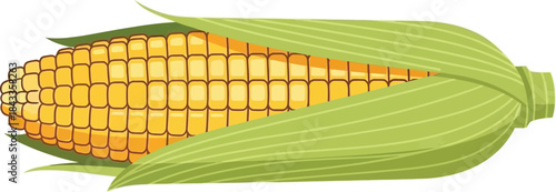 A vibrant illustration of a freshly husked ear of yellow corn on a white background