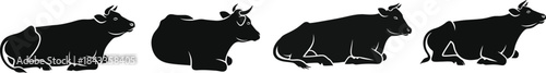  Cows black silhouettes collection. different cattle animals lying on ground farm mammals