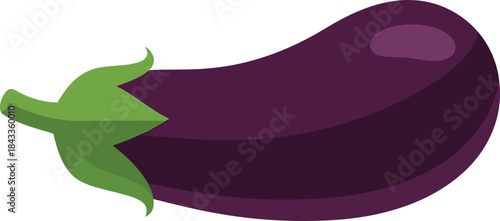 A vibrant illustration of a single glossy purple eggplant with a fresh green stem