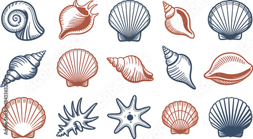 Hand-drawn shell icons, Sea shell vector set, Ocean beach illustration, Nautical shell clipart, Decorative seashell collection for coastal design projects, Vintage-style sea shell drawings for summer 