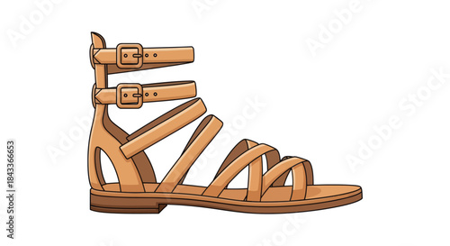 Detailed Illustration of a Strappy Leather Gladiator Sandal.