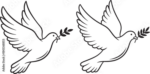 Two doves carrying olive branches silhouette