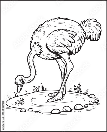 Ostrich searching food in desert natural scene black line art vector, Animal coloring page for kids