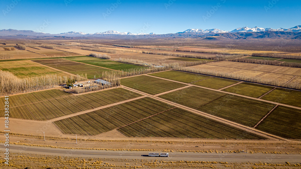 Obraz premium Aerial view of large garlic plantations with agricultural fields and Andes mountains in Mendoza, Argentina.