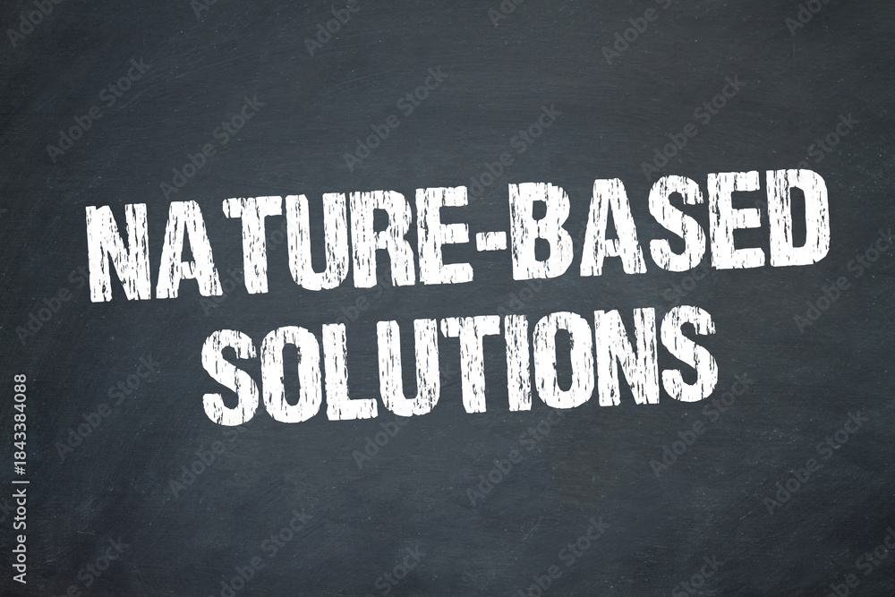 Obraz premium Nature-based solutions