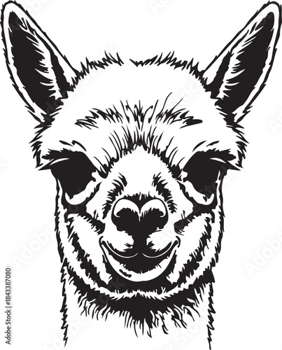 Cute alpaca animal head vector artwork with detailed fur on transparent background