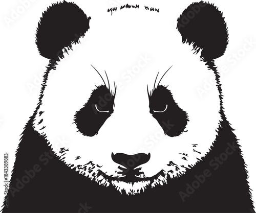 Front view of a sleepy panda bear face with closed eyes vector illustration graphic