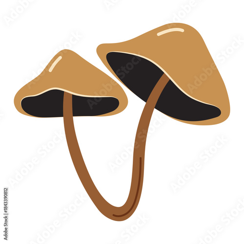 Vector illustration of mushrooms in a flat style. Simple stylized mushrooms, isolated on a white background. Nature-themed element .