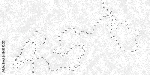 Abstract pattern waves lines seamless pattern and topography map and counter map. abstract sea map and mount map area space geometrics line technology topo landscape grid map texture.