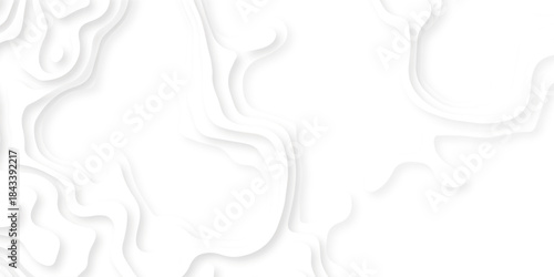 Vector abstract Topography map crave white and black wave doodle line topo map diagram relief line grid topo mountain background. geometric Line topography map contour background.