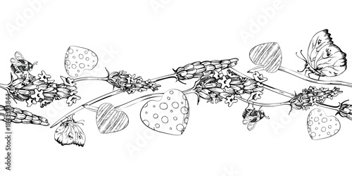 Lavender lavandula flower on stalks, flying butterfly, striped and dotted hearts. Isolated seamless banner illustration hand drawn in vector ink. Label for cosmetics, home fragrance, aromatherapy