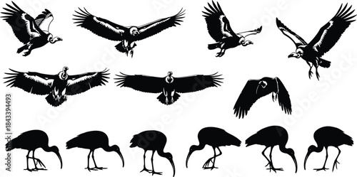 aw Enforcement, Military, and Cowboy Silhouettes Set, Armed Police, Sniper, and Sheriff Black Vector Icons, Security and Western Graphic Collection