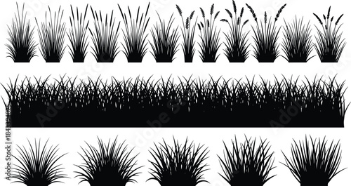 Cheerful young business professional woman smiling, working on laptop computer in bright, modern office, illustrating successful freelance creative remote work lifestyle.